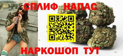 spice Новозыбков