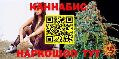 spice Новозыбков