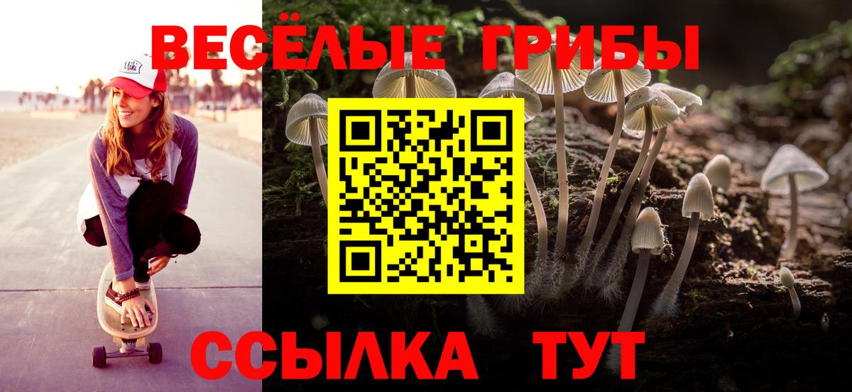 Псилоцибиновые грибы Magic Shrooms  Вход с VPN  наркошоп  Рязань 